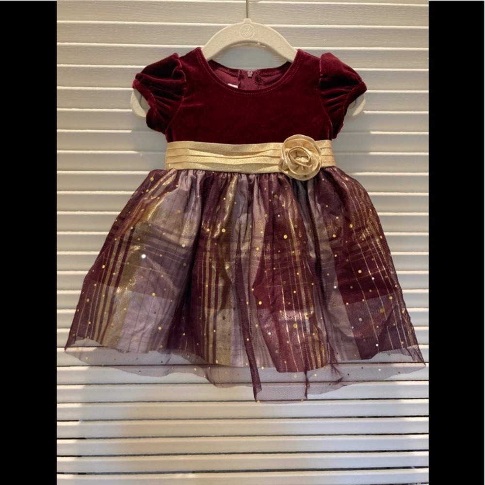 Bonnie Baby Burgundy Velvety Dress with Gold Accents 6-9 MO
